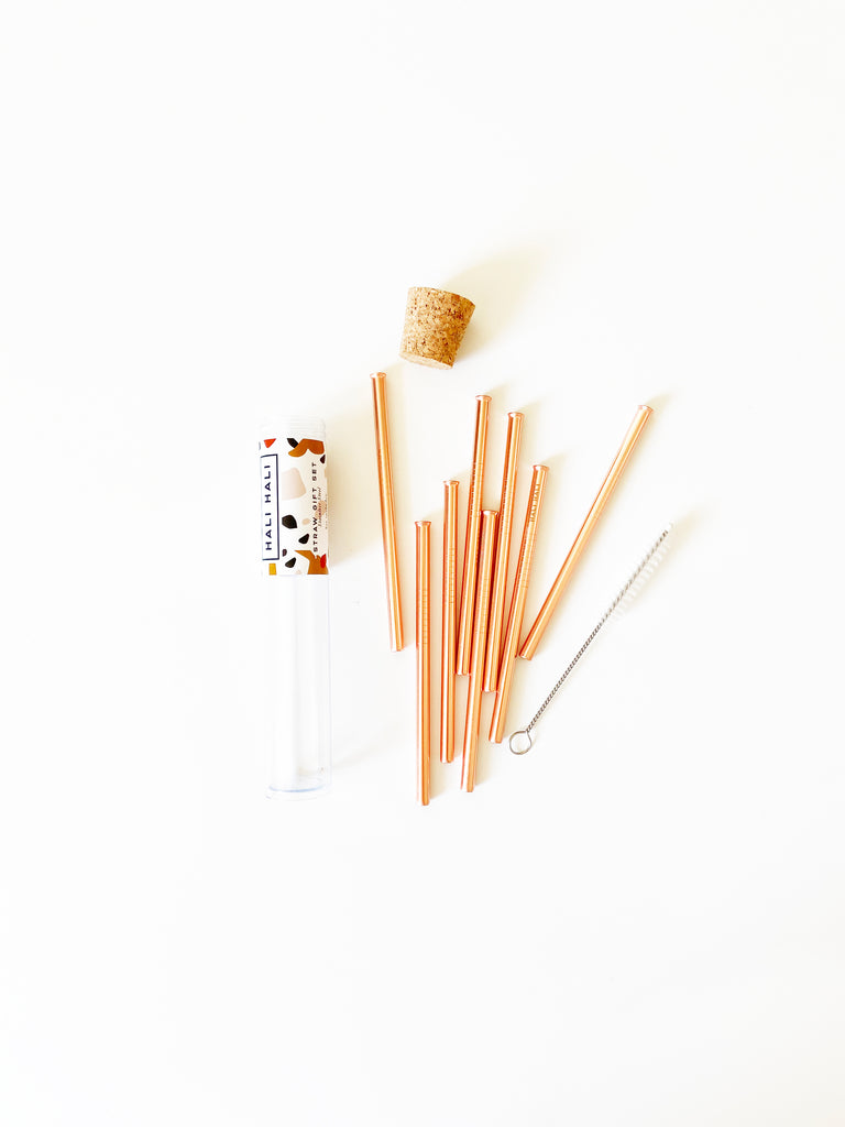 Reusable Straws 6pc Sets– Hali Hali Design